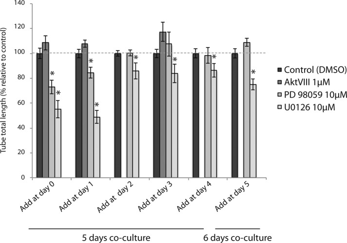 FIGURE 7: