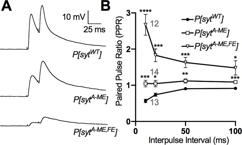 Fig 5