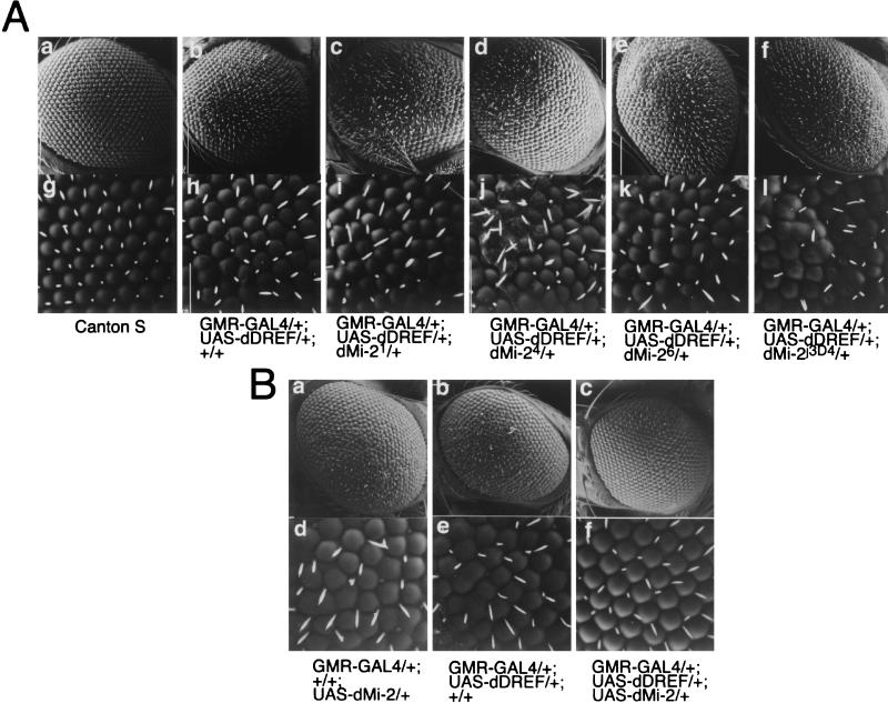 FIG. 5.