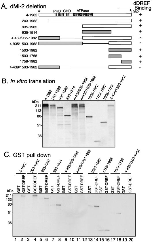 FIG. 2.