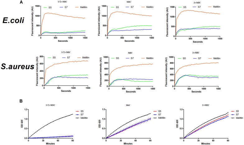 FIGURE 3