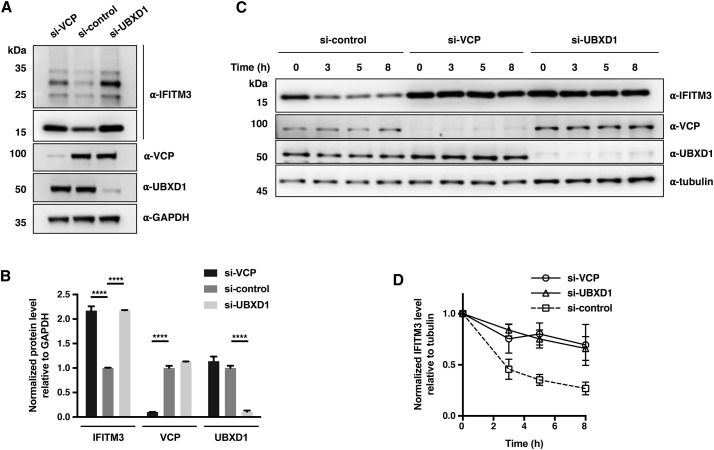 Figure 6