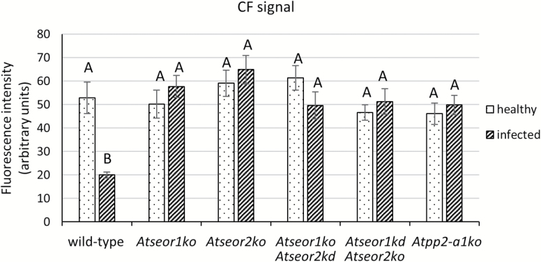 Fig. 8.