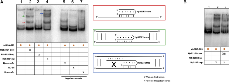 Figure 5