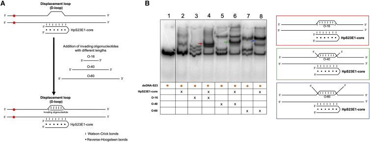 Figure 6