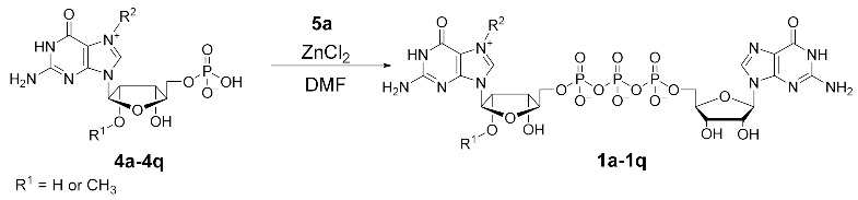 graphic file with name pharmaceutics-13-01941-i001.jpg