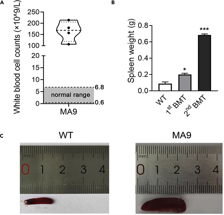 Figure 3