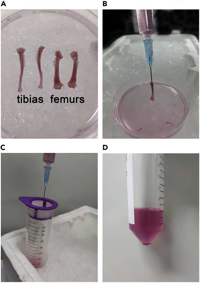 Figure 2