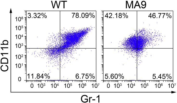 Figure 5