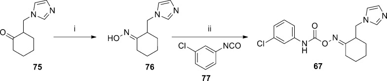 Scheme 5