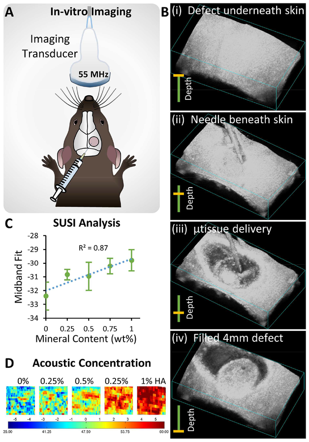 Figure 6 -