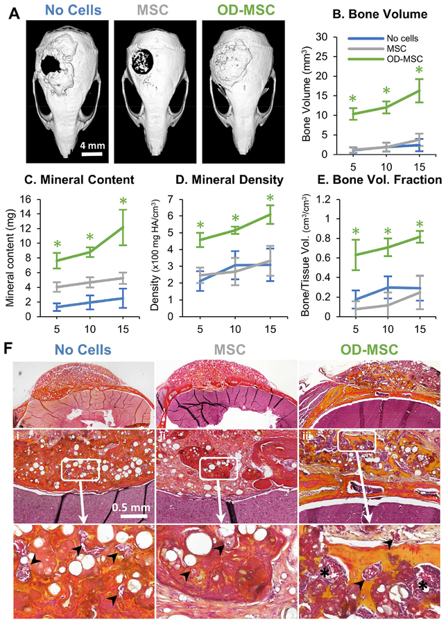 Figure 2 -