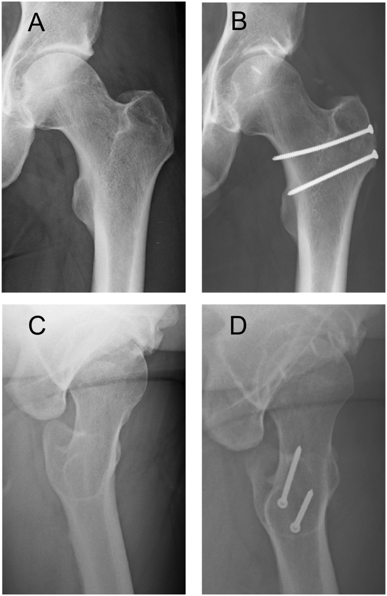 Fig. 2.