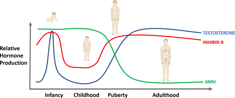 Figure 1