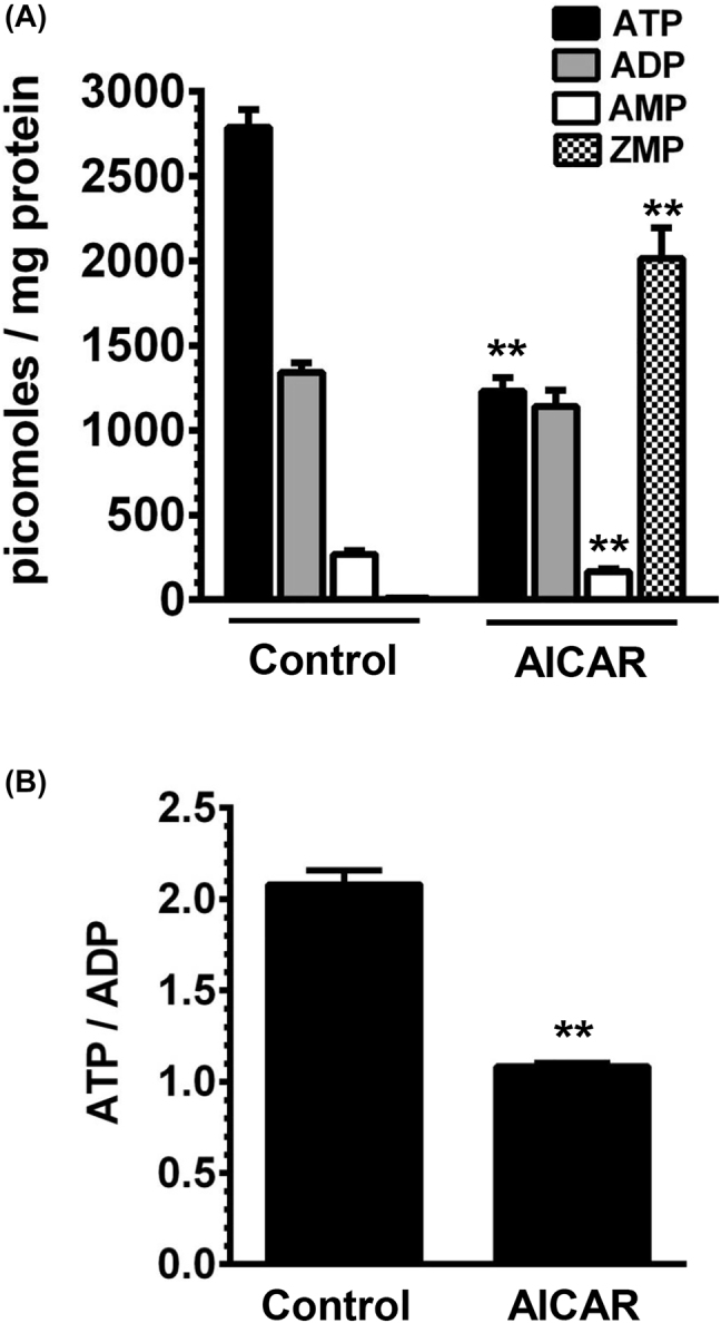 Figure 5: