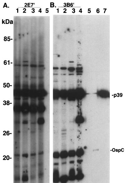 FIG. 6