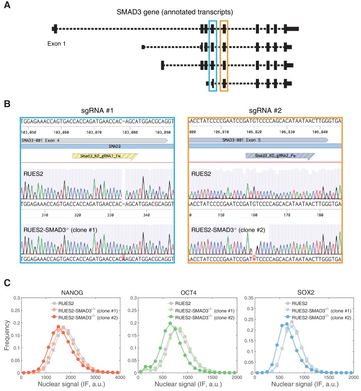 Figure 4—figure supplement 2.