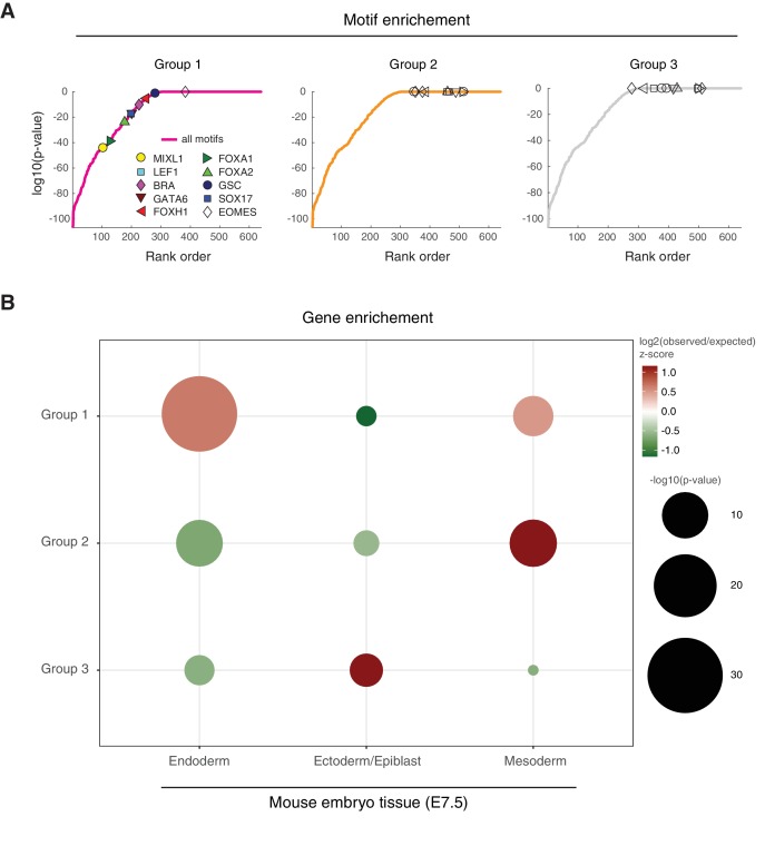 Figure 4—figure supplement 1.