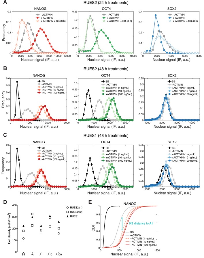 Figure 5—figure supplement 1.