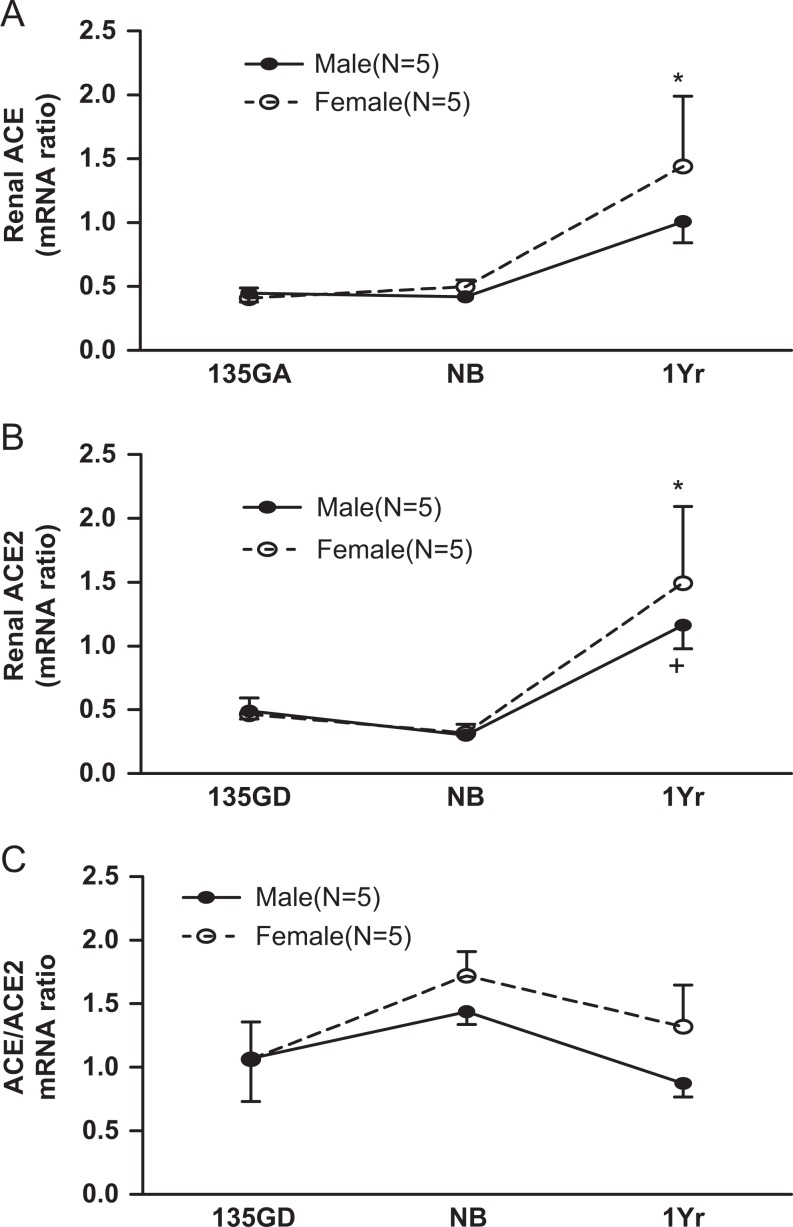 Figure 5.