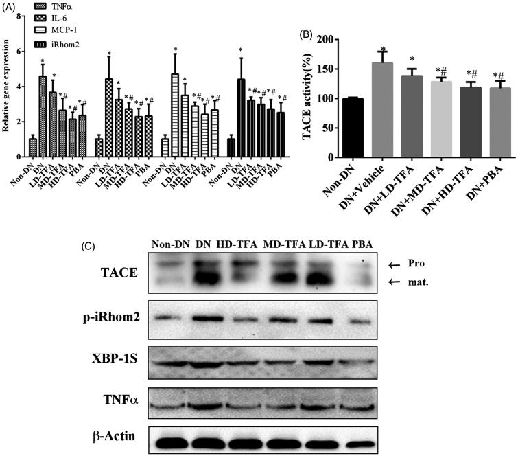 Figure 6.