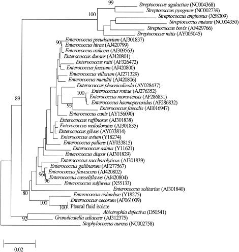 FIG. 1.