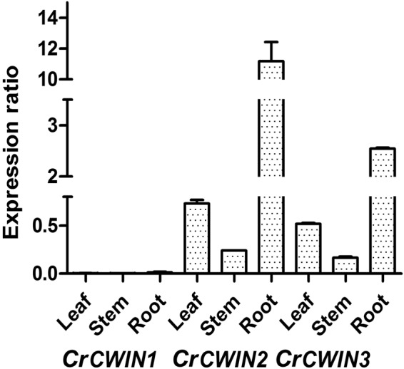 Figure 2