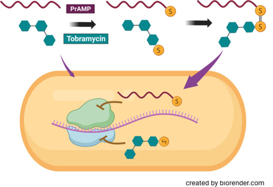 graphic file with name bc2c00467_0004.jpg
