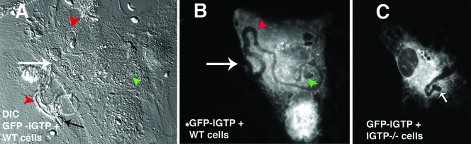 FIG. 4.