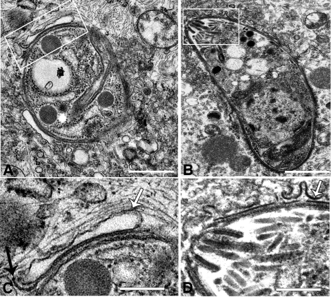 FIG. 6.