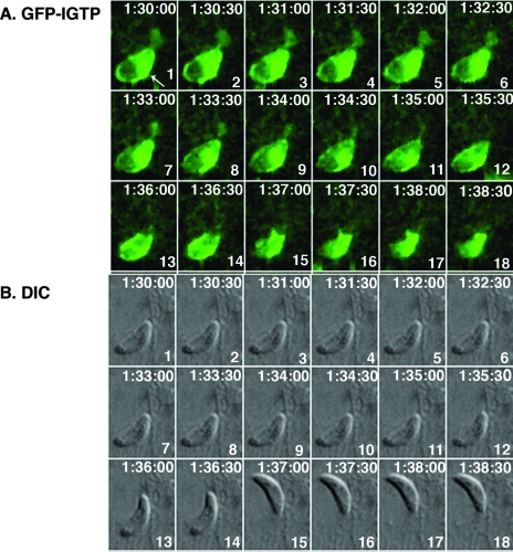 FIG. 3.