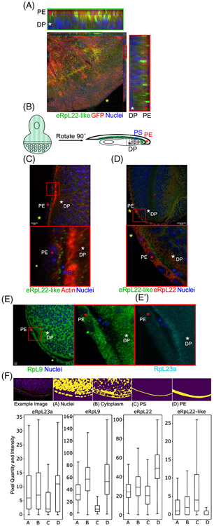 FIGURE 3