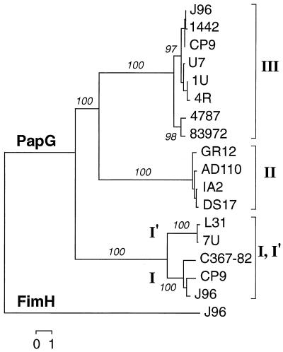 FIG. 3