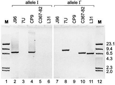 FIG. 4