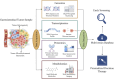Diagram illustrating a multi-omics approach to analyzing gastrointestinal tumor samples. Data acquisition involves genomics, transcriptomics, proteomics, and metabolomics, each contributing specific analyses. Data integration into a multi-omics database supports early screening and personalized precision therapy development.