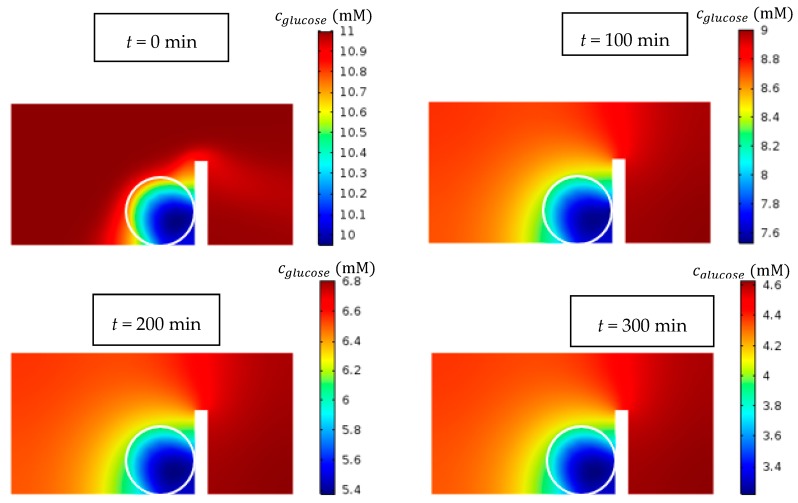 Figure 12