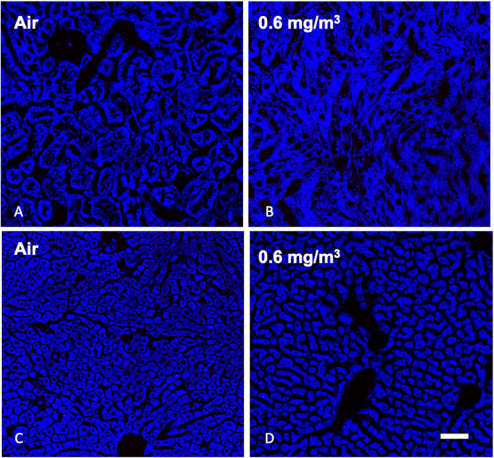 Fig. 17