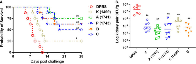 FIG 2