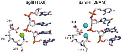 Figure 11.