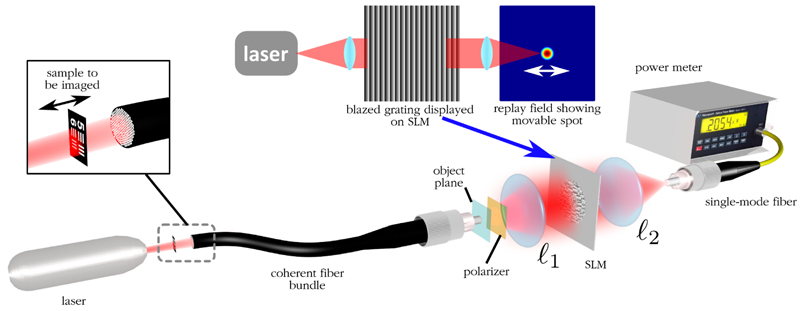 Fig. 4