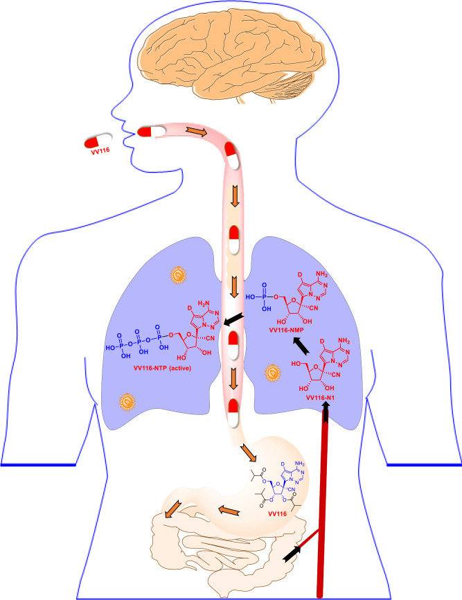 Figure 5