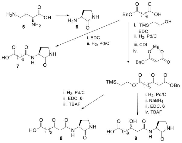 Scheme 1