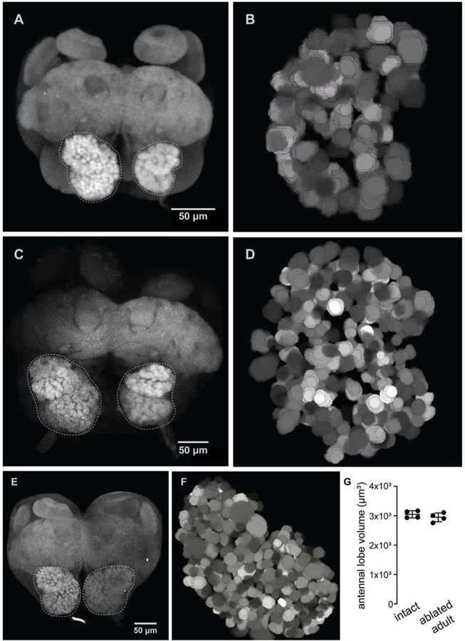 Figure 4: