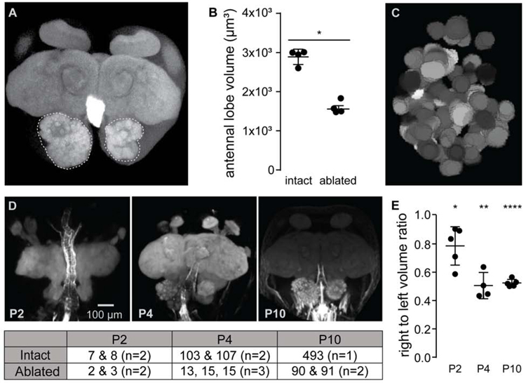 Figure 3: