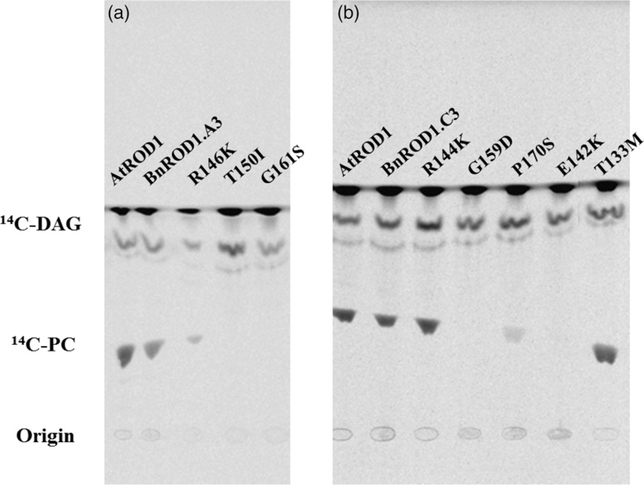 Figure 6.