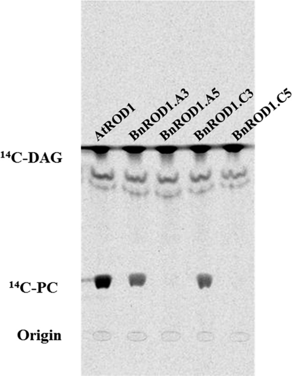 Figure 4.