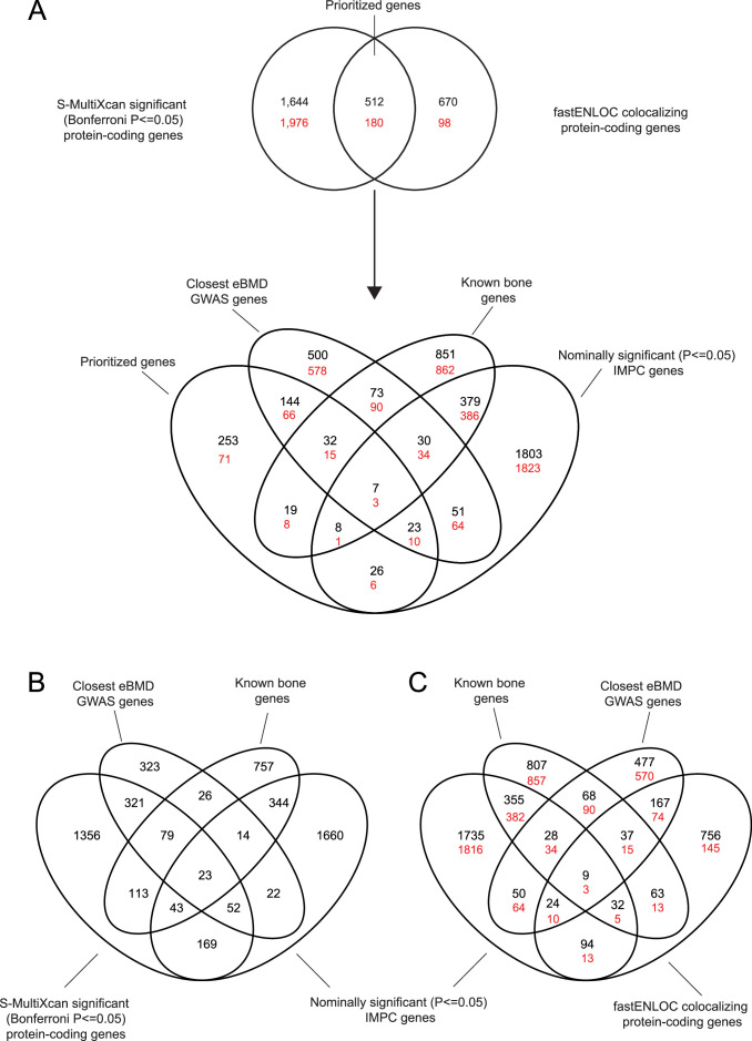 Figure 2—figure supplement 1.