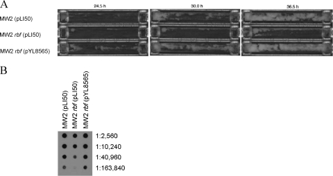 FIG. 7.