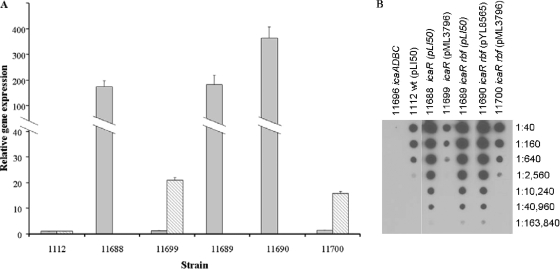 FIG. 6.