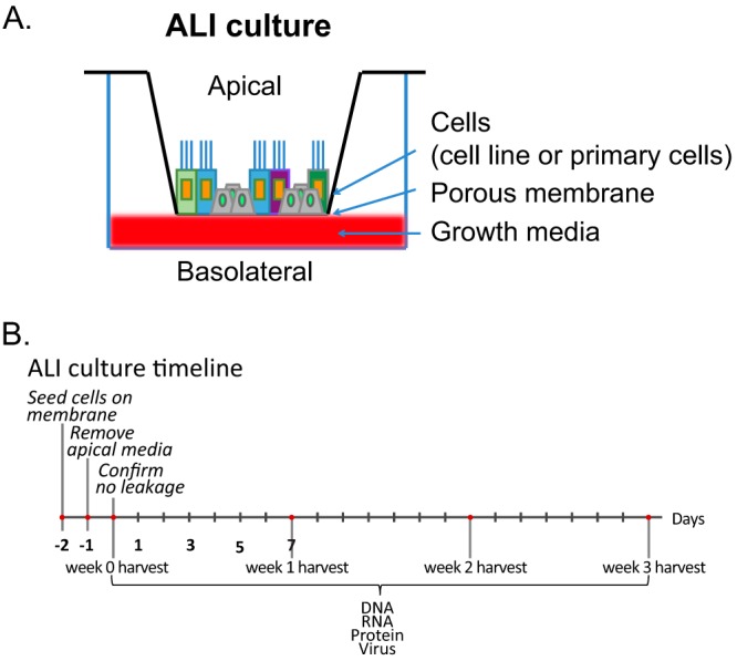 FIG 1 